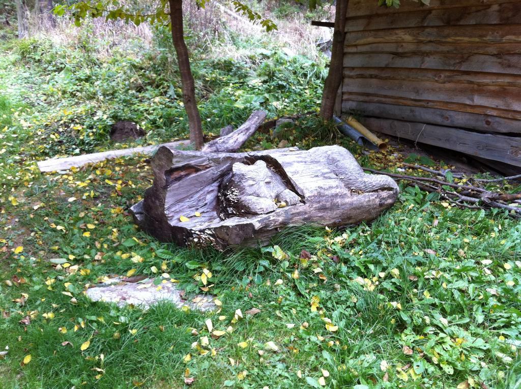 Chata Devena Valča Стая снимка